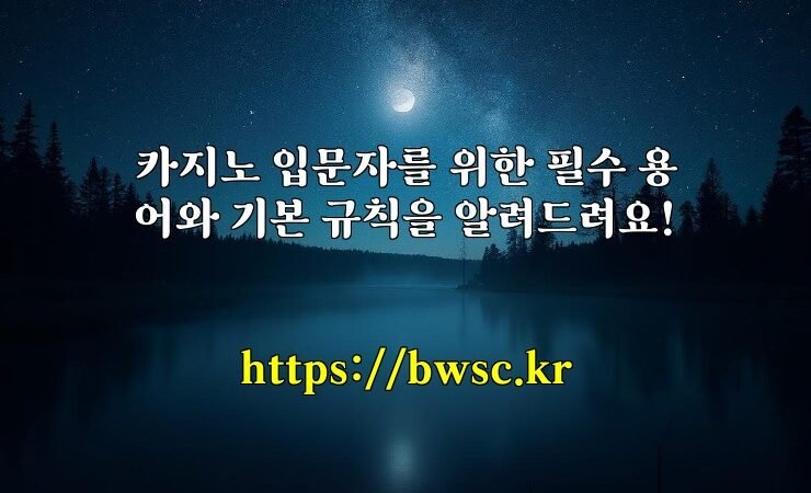 카지노 입문자를 위한 필수 용어와 기본 규칙을 알려드려요!