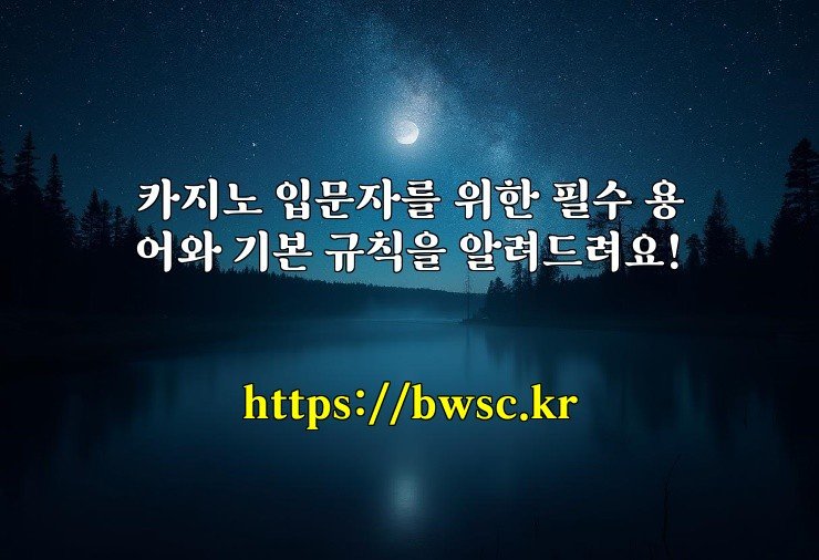 카지노 입문자를 위한 필수 용어와 기본 규칙을 알려드려요!